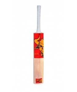 Beastt Elite Kashmir Willow Cricket Bat  (Short Handle, 1. kg)